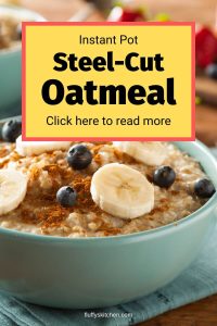 instant pot steel cut oatmeal