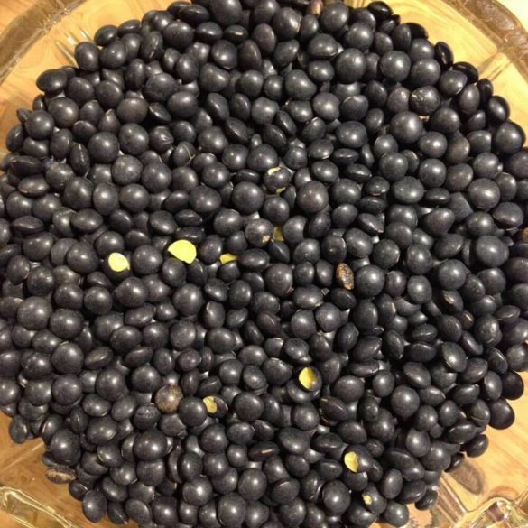 Beluga Lentil Salad