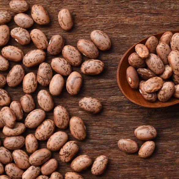 Instant Pot Borracho Beans