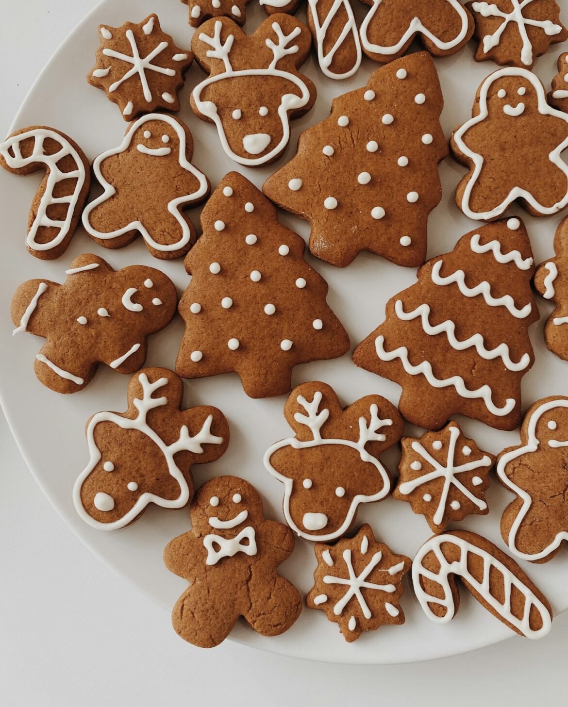 A white plate of decorated gingerbread Christmas cookies including trees, reindeer, snowflakes and candy canes