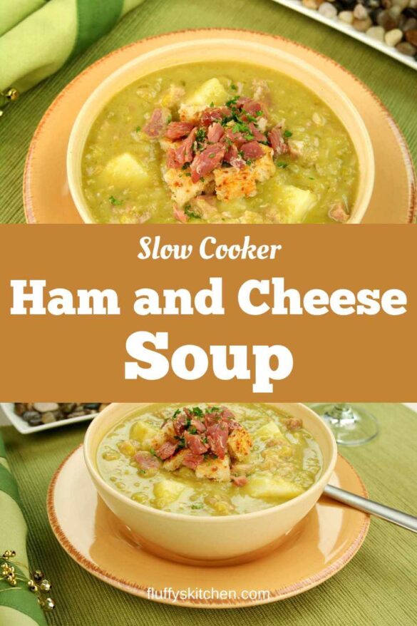 Slow Cooker Ham And Cheese Soup Fluffy's Kitchen